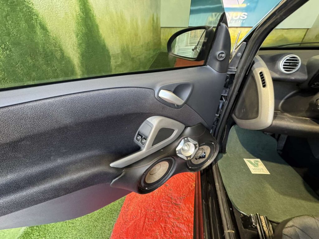 Smart ForTwo MHD 2013